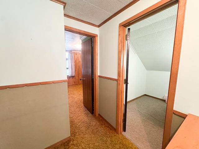 hallway with carpet floors and crown molding
