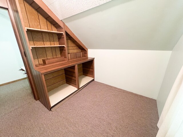 bonus room with carpet floors