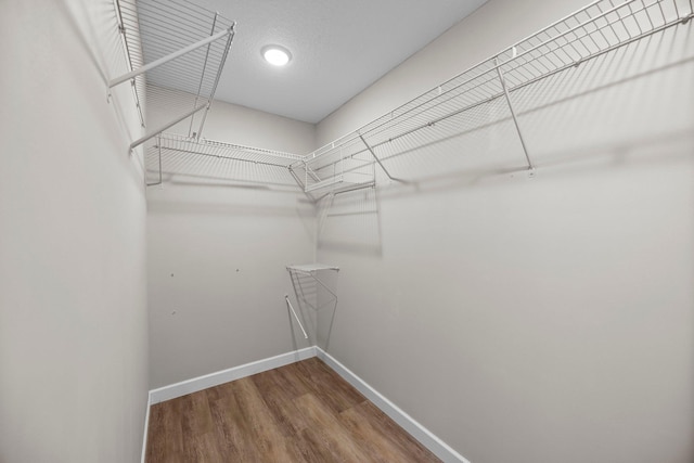 426 Dillon Ave N, Montrose, MN 55363 - spacious closet featuring wood finished floors