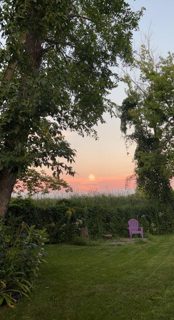 426 Dillon Ave N, Montrose, MN 55363 - yard at dusk featuring a lawn