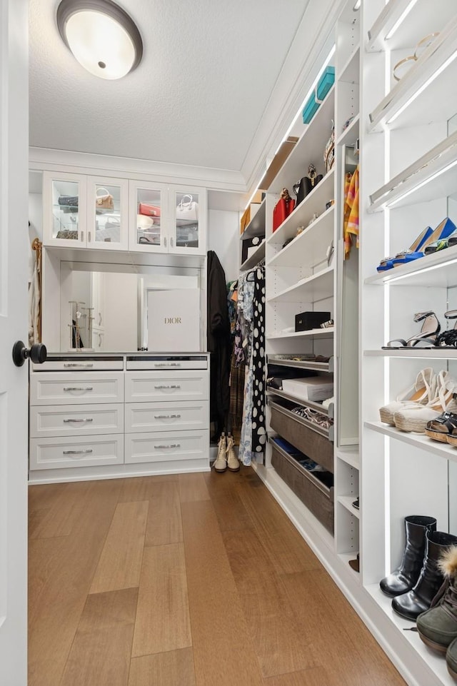 10859 23rd St NE, Saint Michael, MN 55376 - view of walk in closet