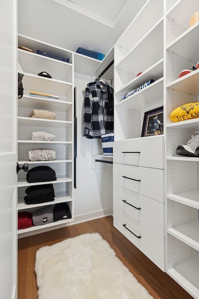 10859 23rd St NE, Saint Michael, MN 55376 - spacious closet featuring wood finished floors