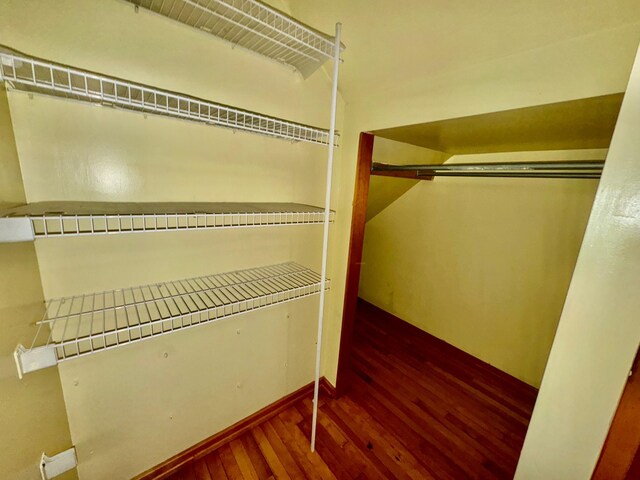 spacious closet featuring wood finished floors