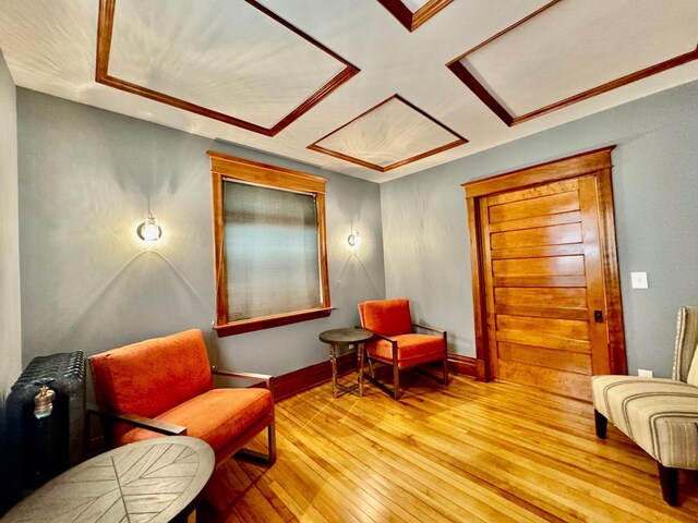 living area featuring wood-type flooring and baseboards