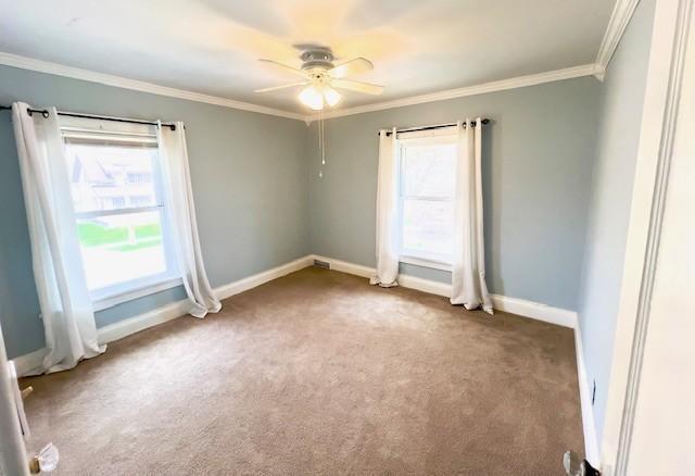 carpeted spare room with crown molding, a ceiling fan, and baseboards