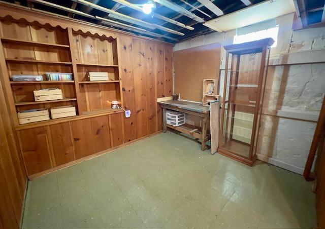 unfinished basement with wood walls