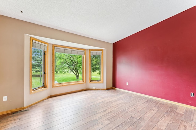 11170 207th Ave NW, Elk River, MN 55330 - unfurnished room featuring light wood-style flooring and a textured ceiling