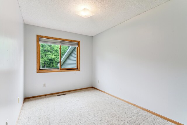 11170 207th Ave NW, Elk River, MN 55330 - unfurnished room with carpet flooring and a textured ceiling