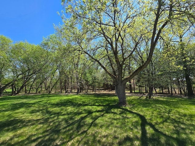 11170 207th Ave NW, Elk River, MN 55330 - view of green lawn