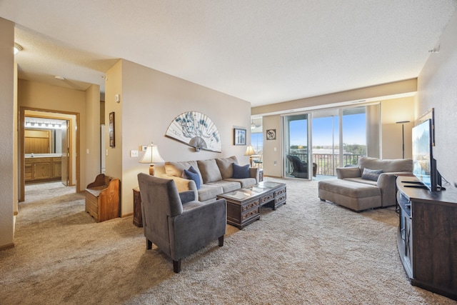 living area featuring carpet flooring
