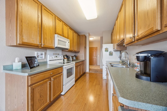 kitchen featuring light wood-type flooring, white appliances, brown cabinetry, and a sink