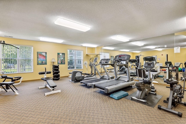 exercise room with a textured ceiling, carpet flooring, and plenty of natural light