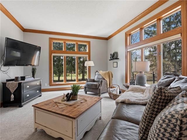 carpeted living room with crown molding and baseboards