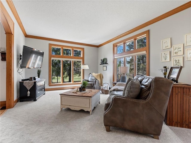 living room with ornamental molding, a textured ceiling, carpet floors, and baseboards