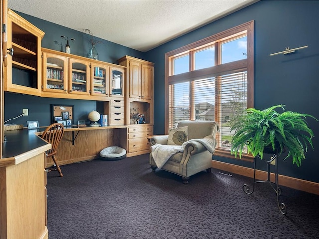 sitting room with a textured ceiling, built in study area, carpet floors, and baseboards