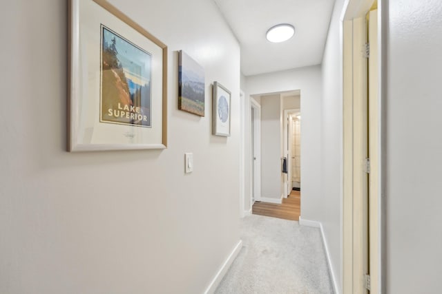4654 Cedar Lake Rd S Unit 6, Saint Louis Park, MN 55416 - hallway with carpet floors and baseboards