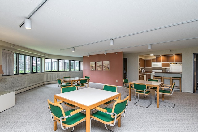 600 4th St SW Unit 308, Rochester, MN 55902 - recreation room with track lighting, a baseboard heating unit, and carpet