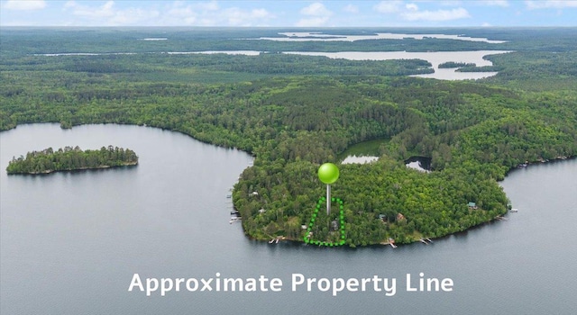 95536 Pine Is, Greenwood Twp, MN 55790 - drone / aerial view of a forest and a large body of water