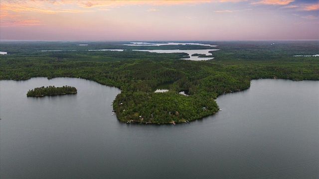 95536 Pine Is, Greenwood Twp, MN 55790 - aerial view of a large body of water and a heavily wooded area