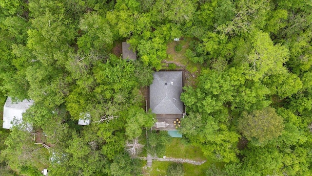 95536 Pine Is, Greenwood Twp, MN 55790 - bird's eye view