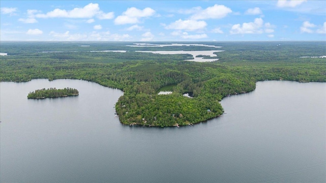 95536 Pine Is, Greenwood Twp, MN 55790 - aerial view of a forest and a nearby body of water