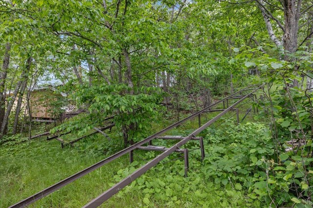 95536 Pine Is, Greenwood Twp, MN 55790 - view of yard