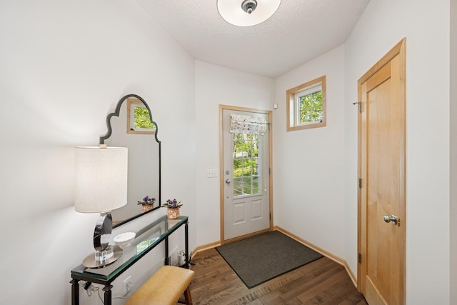 17300 Tilia Rdg, Eden Prairie, MN 55347 - foyer with wood finished floors and a textured ceiling