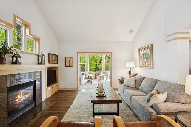 17300 Tilia Rdg, Eden Prairie, MN 55347 - living area with high vaulted ceiling, dark wood-type flooring, and a premium fireplace