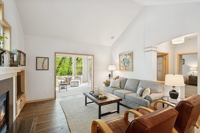 17300 Tilia Rdg, Eden Prairie, MN 55347 - living area featuring a glass covered fireplace, wood finished floors, and high vaulted ceiling