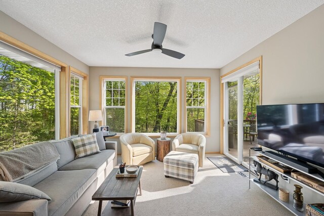 17300 Tilia Rdg, Eden Prairie, MN 55347 - sunroom with healthy amount of natural light, a textured ceiling, and carpet floors