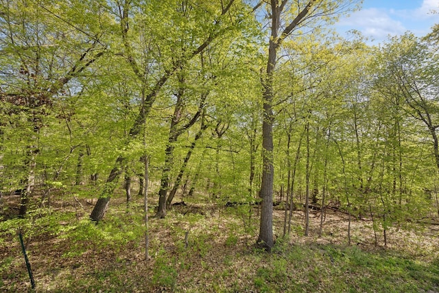 17300 Tilia Rdg, Eden Prairie, MN 55347 - view of tree filled area