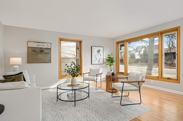 4836 Bloomington Ave, Minneapolis, MN 55417 - living room with baseboards and light wood-style floors