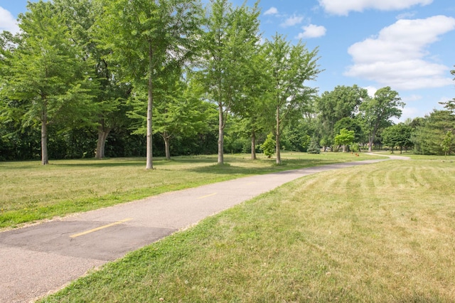 4836 Bloomington Ave, Minneapolis, MN 55417 - view of home's community featuring a yard and view of wooded area
