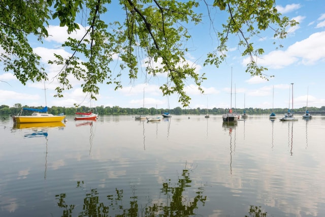 4836 Bloomington Ave, Minneapolis, MN 55417 - water view featuring a dock