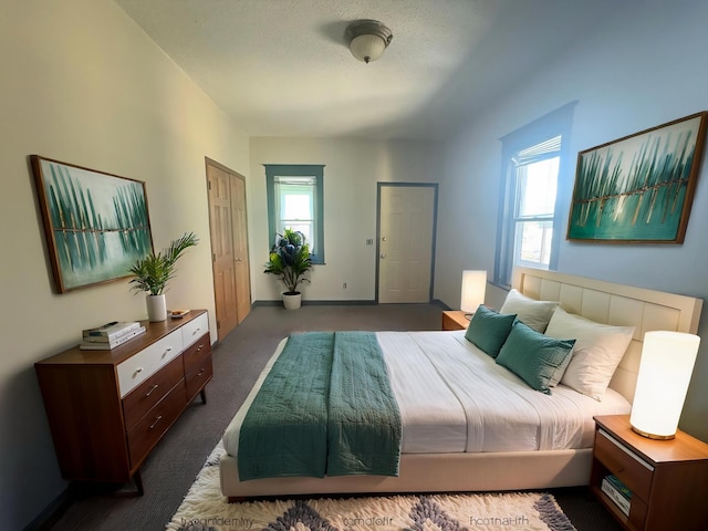 2108 Elliot Ave, Minneapolis, MN 55404 - bedroom featuring dark colored carpet, baseboards, and a textured ceiling