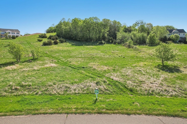 view of yard with a view of rural / pastoral area