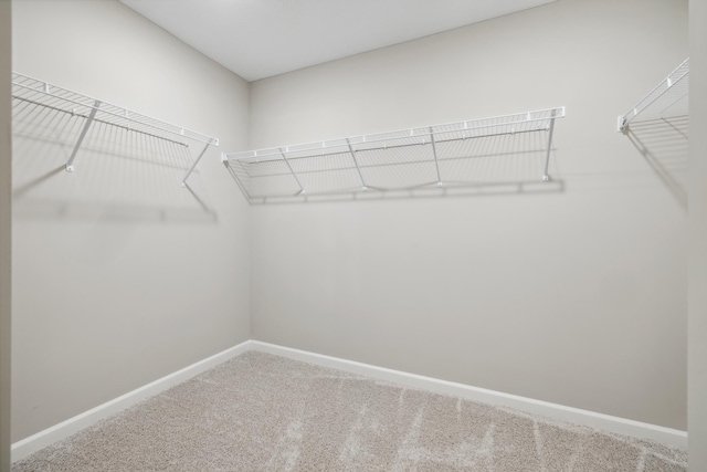 spacious closet with carpet