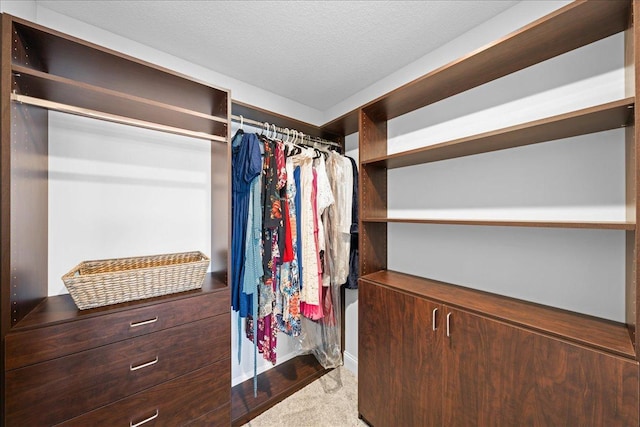 spacious closet with carpet floors