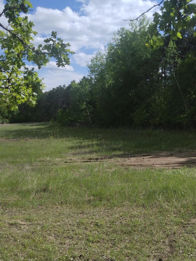25431 Larch St NW, Isanti, MN 55040 - view of yard featuring a view of trees