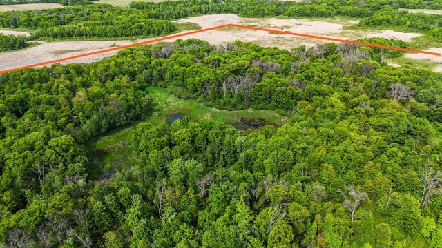 25431 Larch St NW, Isanti, MN 55040 - aerial view of property and surrounding area with a forest and property boundaries highlighted