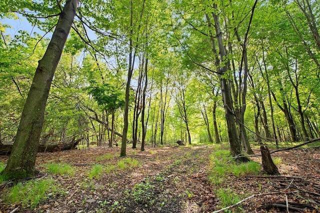 25431 Larch St NW, Isanti, MN 55040 - view of nature