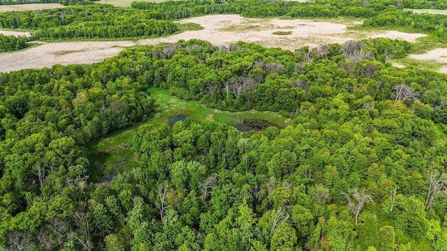 25431 Larch St NW, Isanti, MN 55040 - view of property location featuring a heavily wooded area