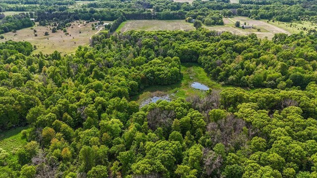 25431 Larch St NW, Isanti, MN 55040 - bird's eye view of a forest and a nearby body of water