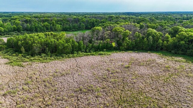 25431 Larch St NW, Isanti, MN 55040 - bird's eye view of a forest