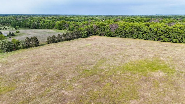 25431 Larch St NW, Isanti, MN 55040 - bird's eye view of a heavily wooded area