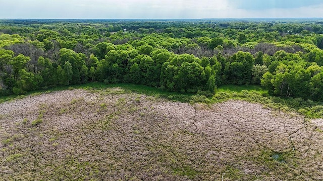 25431 Larch St NW, Isanti, MN 55040 - aerial view of a heavily wooded area