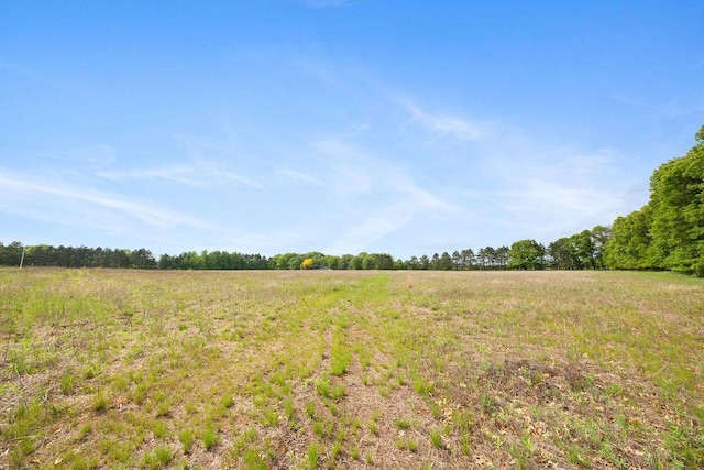 25431 Larch St NW, Isanti, MN 55040 - view of yard with a view of countryside