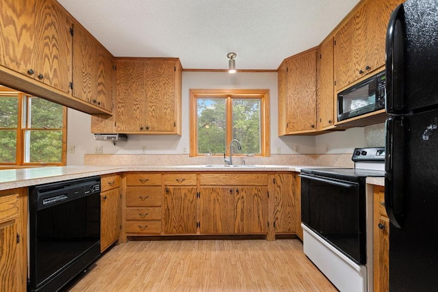 25431 Larch St NW, Isanti, MN 55040 - kitchen featuring black appliances, light wood-style floors, light countertops, and brown cabinets