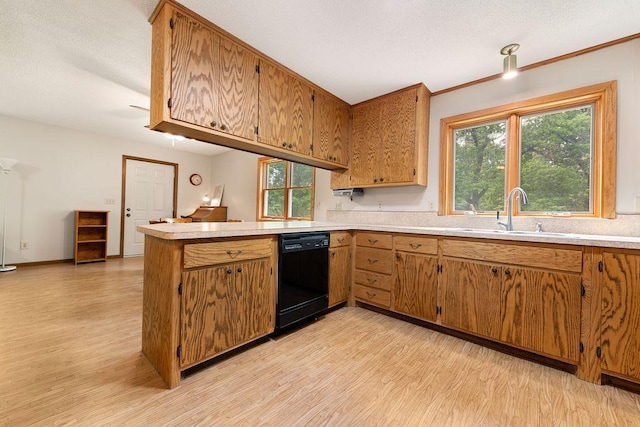 25431 Larch St NW, Isanti, MN 55040 - kitchen with dishwasher, light wood-style flooring, a peninsula, light countertops, and brown cabinets
