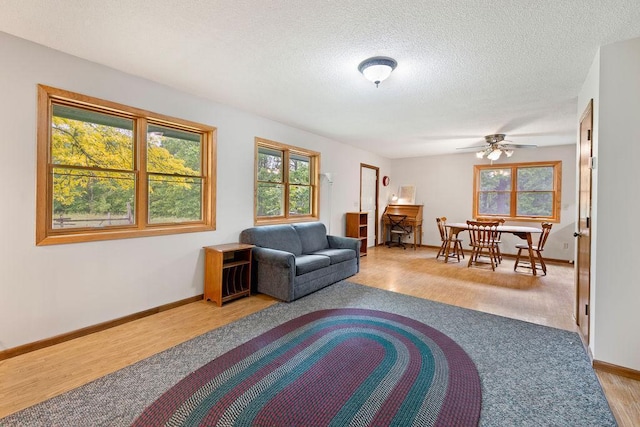 25431 Larch St NW, Isanti, MN 55040 - living room with wood finished floors, a ceiling fan, and a textured ceiling